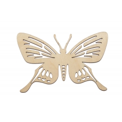 Motyl A545